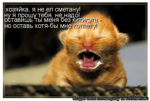 Котоматрица: хозяйка, я не ел сметану! ну я прошу тебя, не надо! оставишь ты меня без китикэта -  но оставь хотя-бы мне котлету!