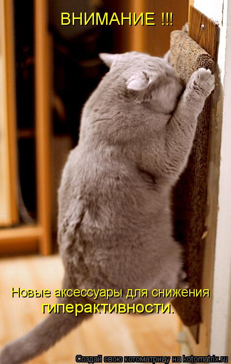 Котоматрица: Новые аксессуары для снижения гиперактивности. ВНИМАНИЕ !!!