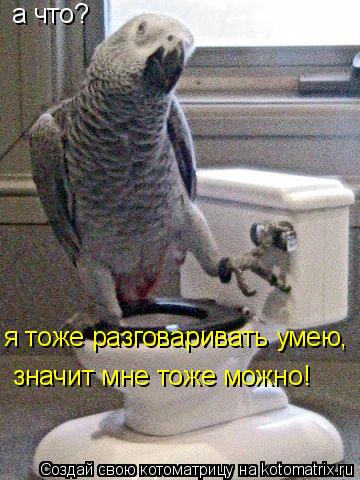 Котоматрица: а что?  я тоже разговаривать умею,  значит мне тоже можно!