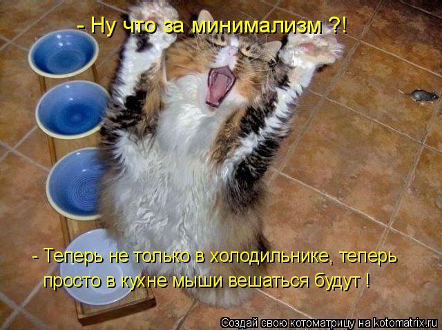 Котоматрица: - Теперь не только в холодильнике, теперь просто в кухне мыши вешаться будут ! - Ну что за минимализм ?!