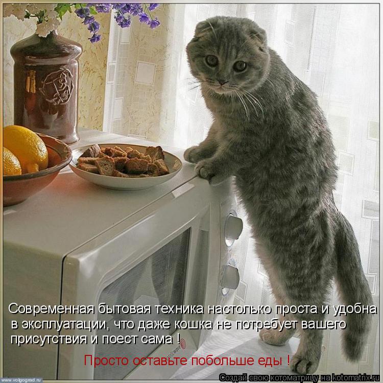 Котоматрица: Современная бытовая техника настолько проста и удобна в эксплуатации, что даже кошка не потребует вашего присутствия и поест сама ! Просто 