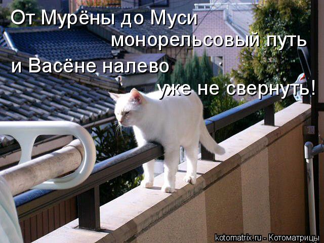 Котоматрица: От Мурёны до Муси монорельсовый путь и Васёне налево  уже не свернуть!