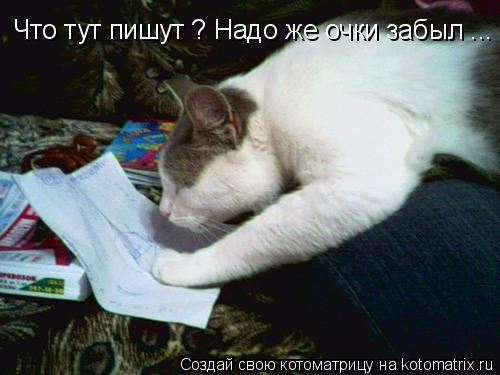 Котоматрица: Что тут пишут ? Надо же очки забыл ...