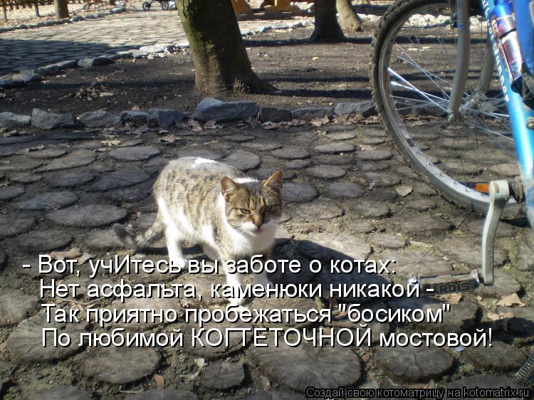- Вот, учИтесь вы заботе о котах: Нет асфальта, каменюки никакой - Так приятно пробежаться "босиком"... Котоматрица: - Вот, учИтесь вы заботе о котах: Нет асфальта, каменюки никакой - Так приятно пробежаться "босиком" По любимой КОГТЕТОЧНОЙ мостовой!