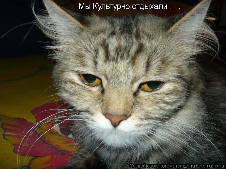 Котоматрица: Мы Культурно отдыхали . . .