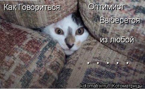 Котоматрица: Как Говориться , Оптимист Выберется из любой . . . . .