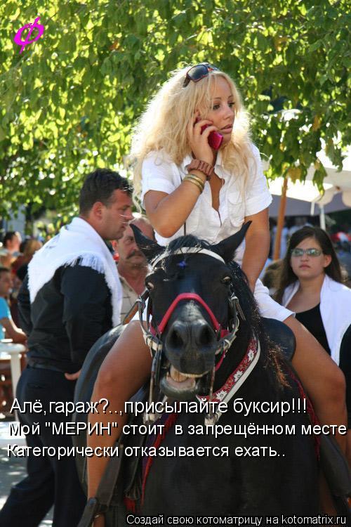 Котоматрица: Алё,гараж?..,присылайте буксир!!! Мой "МЕРИН" стоит  в запрещённом месте Категорически отказывается ехать..