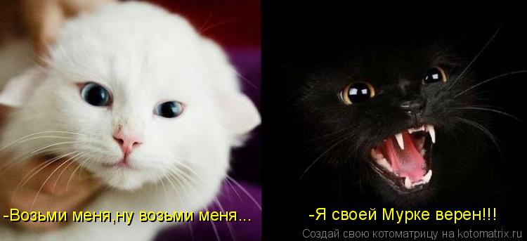 Котоматрица: -Возьми меня,ну возьми меня... -Я своей Мурке верен!!!
