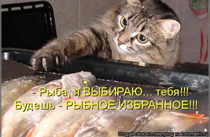 - Рыба, я ВЫБИРАЮ... тебя!!! Будешь - РЫБНОЕ ИЗБРАННОЕ!!!... Котоматрица: - Рыба, я ВЫБИРАЮ... тебя!!! Будешь - РЫБНОЕ ИЗБРАННОЕ!!!