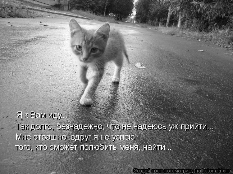 Что не одену все не идет Что не одену все не идет