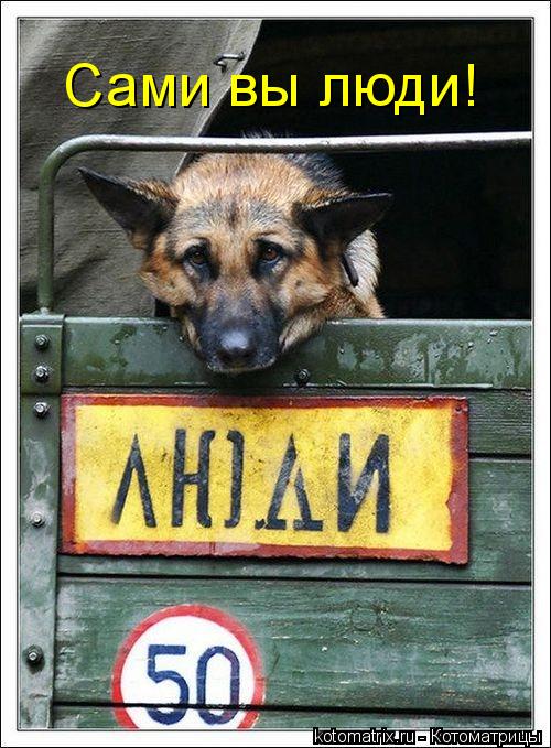 Сами вы люди!... Котоматрица: Сами вы люди!
