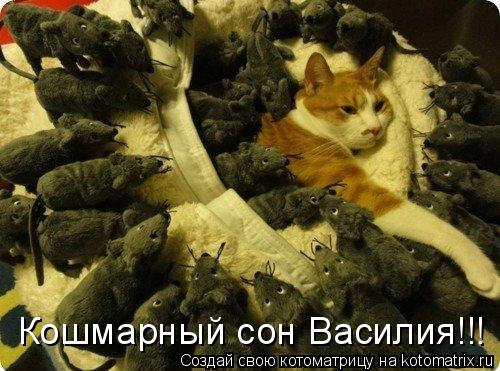 Кошмарный сон Василия!!!... Котоматрица: Кошмарный сон Василия!!!
