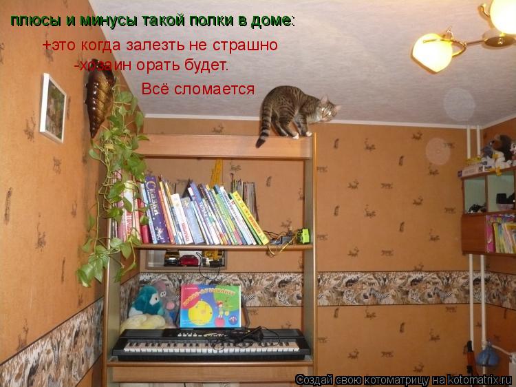 плюсы и минусы такой полки в доме: +это когда залезть не страшно -хозаин орать будет. Всё сломается... Котоматрица: плюсы и минусы такой полки в доме: +это когда залезть не страшно -хозаин орать будет. Всё сломается