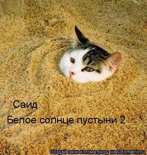 Саид. Белое солнце пустыни 2... Котоматрица: Саид. Белое солнце пустыни 2