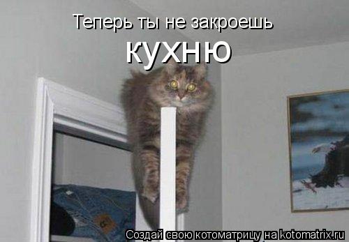 Теперь ты не закроешь кухню... Котоматрица: Теперь ты не закроешь кухню