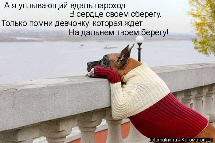 А я уплывающий вдаль пароход В сердце своем сберегу. Только помни девчонку, которая ждет На дальнем т... Котоматрица: А я уплывающий вдаль пароход В сердце своем сберегу. Только помни девчонку, которая ждет На дальнем твоем берегу!