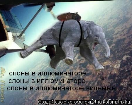 Котоматрица: слоны в иллюминаторе слоны в иллюминаторе слоны в иллюминаторе видныыы