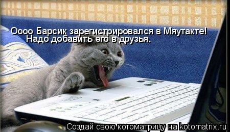 Котоматрица: Оооо Барсик зарегистрировался в Мяутакте! Надо добавить его в друзья.