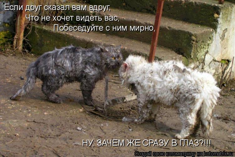 Если друг сказал вам вдруг, Что не хочет видеть вас, Побеседуйте с ним мирно, НУ, ЗАЧЕМ ЖЕ СРАЗУ В ГЛ... Котоматрица: Если друг сказал вам вдруг, Что не хочет видеть вас, Побеседуйте с ним мирно, НУ, ЗАЧЕМ ЖЕ СРАЗУ В ГЛАЗ?!!!