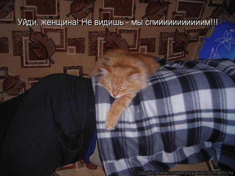 Котоматрица: Уйди, женщина! Не видишь - мы спииииииииииим!!!