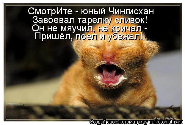 СмотрИте - юный Чингисхан Завоевал тарелку сливок! Он не мяучил, не кричал - Пришёл, поел и убежал!... Котоматрица: СмотрИте - юный Чингисхан Завоевал тарелку сливок! Он не мяучил, не кричал - Пришёл, поел и убежал!