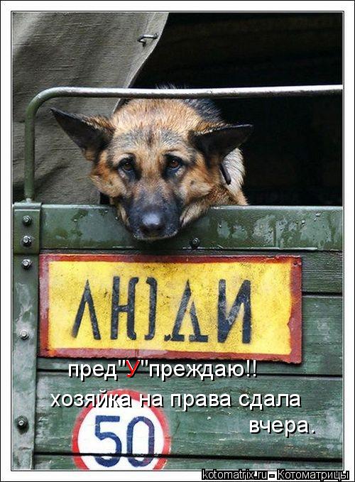 Котоматрица: хозяйка на права сдала пред"У"преждаю!! У вчера.