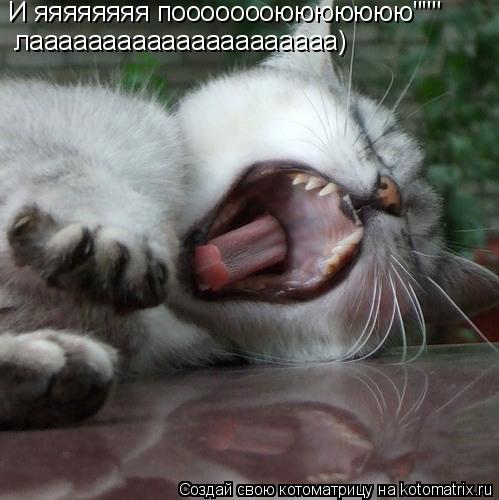 И яяяяяяяя поооооооююююююю""" лааааааааааааааааааааа)... Котоматрица: И яяяяяяяя поооооооююююююю""" лааааааааааааааааааааа)
