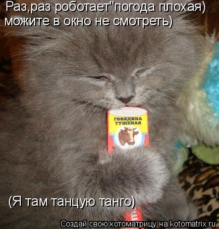 Раз,раз роботает"погода плохая) можите в окно не смотреть) (Я там танцую танго)... Котоматрица: Раз,раз роботает"погода плохая) можите в окно не смотреть) (Я там танцую танго)