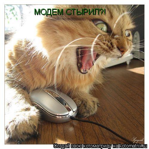 МОДЕМ СТЫРИЛ?!... Котоматрица: МОДЕМ СТЫРИЛ?!