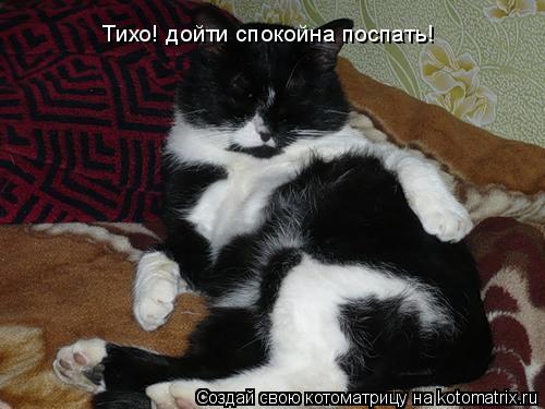 Тихо! дойти спокойна поспать!... Котоматрица: Тихо! дойти спокойна поспать!