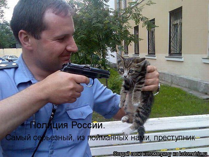 Самый серьезный, из пойманных нами, преступник Полиция России.... Котоматрица: Самый серьезный, из пойманных нами, преступник Полиция России.