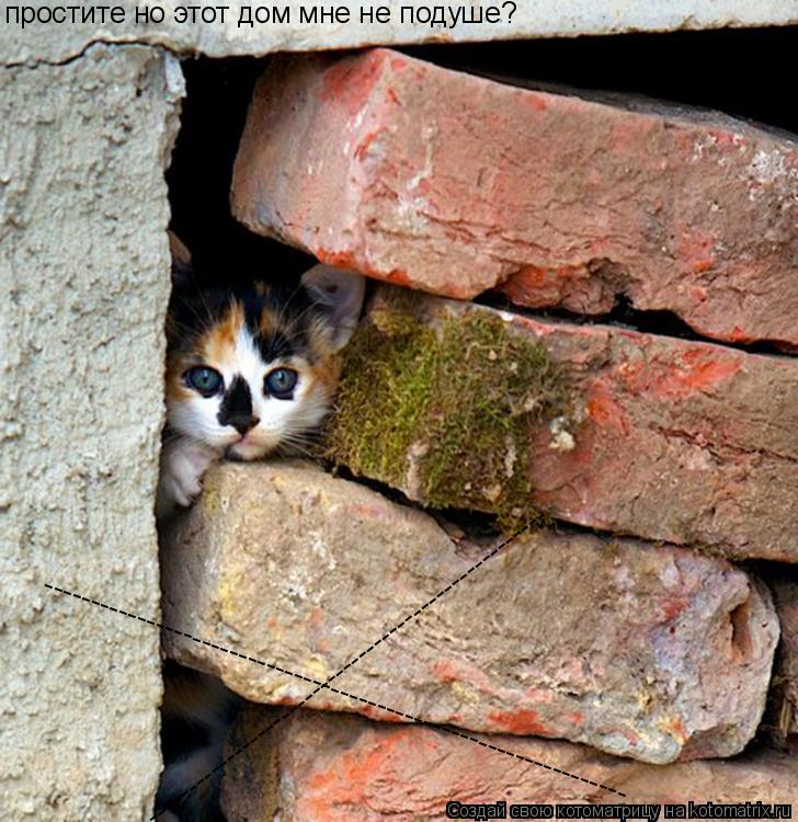 простите но этот дом мне не подуше? --------------------------------------------------------------- -... Котоматрица: простите но этот дом мне не подуше? --------------------------------------------------------------- --------------------------------------------------