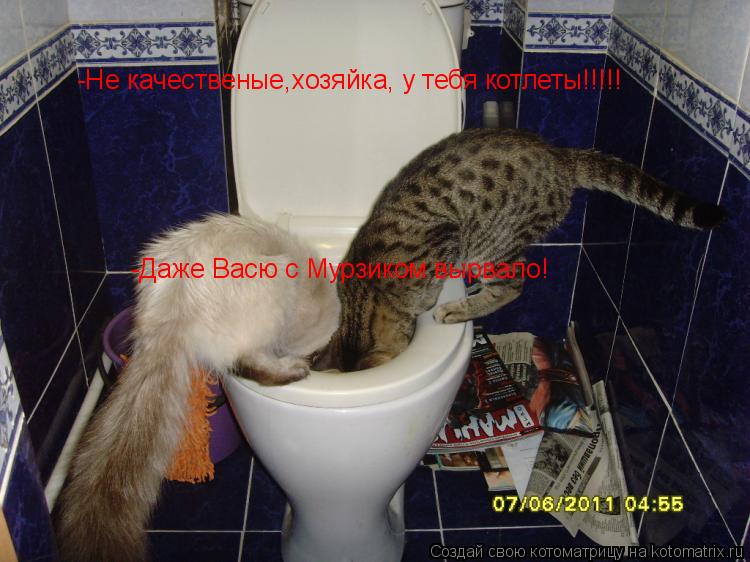 -Не качественые,хозяйка, у тебя котлеты!!!!! -Даже Васю с Мурзиком вырвало!... Котоматрица: -Не качественые,хозяйка, у тебя котлеты!!!!! -Даже Васю с Мурзиком вырвало!