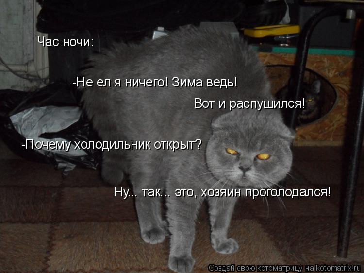 Час ночи: -Не ел я ничего! Зима ведь! Вот и распушился! -Почему холодильник открыт? Ну... так... эт... Котоматрица: Час ночи: -Не ел я ничего! Зима ведь! Вот и распушился! -Почему холодильник открыт? Ну... так... это, хозяин проголодался!
