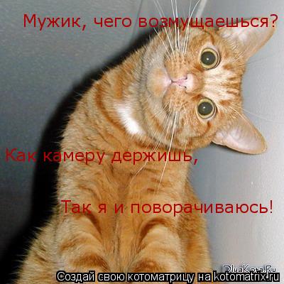 Мужик, чего возмущаешься? Как камеру держишь, Так я и поворачиваюсь!... Котоматрица: Мужик, чего возмущаешься? Как камеру держишь, Так я и поворачиваюсь!
