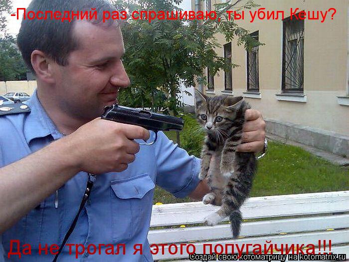 -Последний раз спрашиваю, ты убил Кешу? Да не трогал я этого попугайчика!!!... Котоматрица: -Последний раз спрашиваю, ты убил Кешу? Да не трогал я этого попугайчика!!!