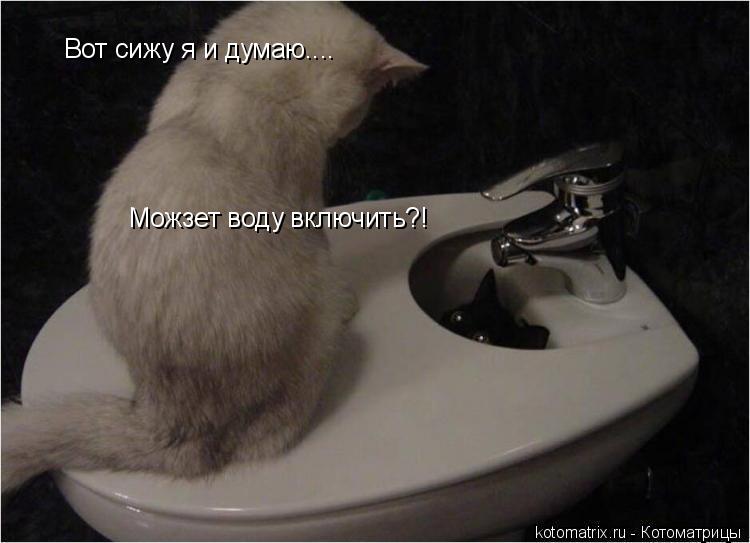 Котоматрица: Вот сижу я и думаю.... Можзет воду включить?!