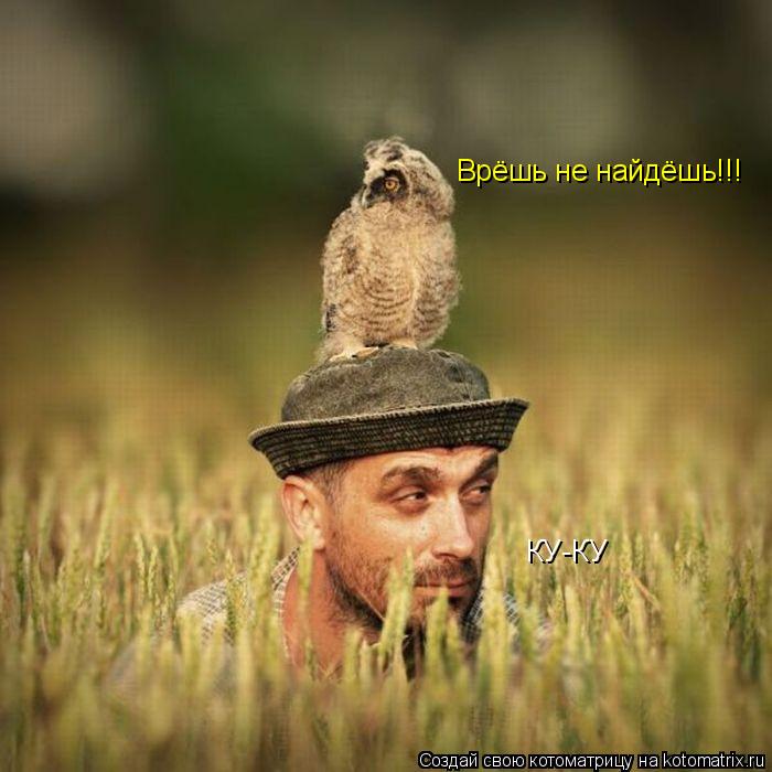 Котоматрица: КУ-КУ Врёшь не найдёшь!!!