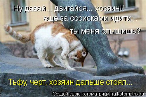 Котоматрица: Ну давай... двигайся... хозяин!! Тьфу, черт, хозяин дальше стоял... еще за сосисками идити... ты меня слышишь?