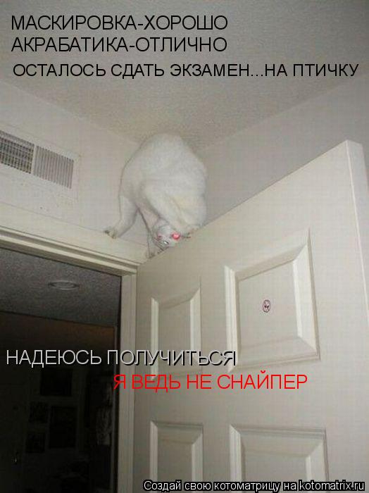 МАСКИРОВКА-ХОРОШО АКРАБАТИКА-ОТЛИЧНО НАДЕЮСЬ ПОЛУЧИТЬСЯ Я ВЕДЬ НЕ СНАЙПЕР ОСТАЛОСЬ СДАТЬ ЭКЗАМЕН...НА... Котоматрица: МАСКИРОВКА-ХОРОШО АКРАБАТИКА-ОТЛИЧНО НАДЕЮСЬ ПОЛУЧИТЬСЯ Я ВЕДЬ НЕ СНАЙПЕР ОСТАЛОСЬ СДАТЬ ЭКЗАМЕН...НА ПТИЧКУ
