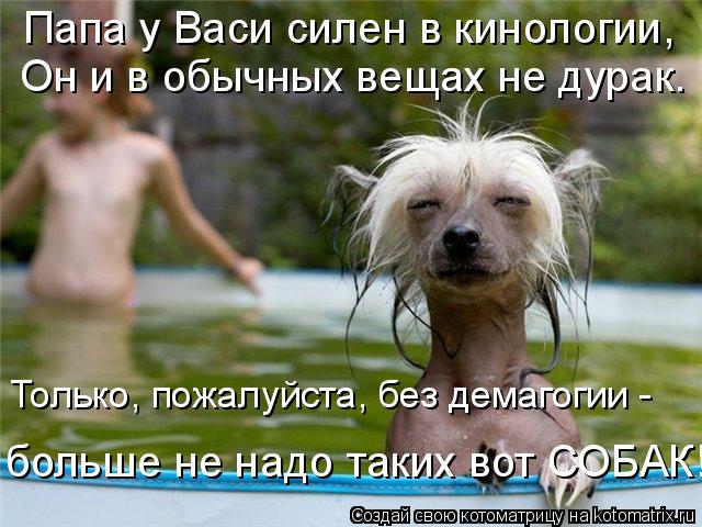 Папа у Васи силен в кинологии, Он и в обычных вещах не дурак. Только, пожалуйста, без демагогии - б... Котоматрица: Папа у Васи силен в кинологии, Он и в обычных вещах не дурак. Только, пожалуйста, без демагогии - больше не надо таких вот СОБАК!
