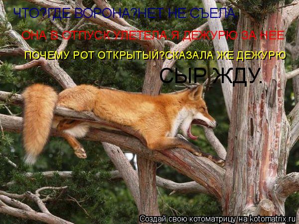 ЧТО?ГДЕ ВОРОНА?НЕТ НЕ СЪЕЛА. ОНА В ОТПУСК УЛЕТЕЛА.Я ДЕЖУРЮ ЗА НЕЕ ПОЧЕМУ РОТ ОТКРЫТЫЙ?СКАЗАЛА ЖЕ ДЕЖУ... Котоматрица: ЧТО?ГДЕ ВОРОНА?НЕТ НЕ СЪЕЛА. ОНА В ОТПУСК УЛЕТЕЛА.Я ДЕЖУРЮ ЗА НЕЕ ПОЧЕМУ РОТ ОТКРЫТЫЙ?СКАЗАЛА ЖЕ ДЕЖУРЮ СЫР ЖДУ.