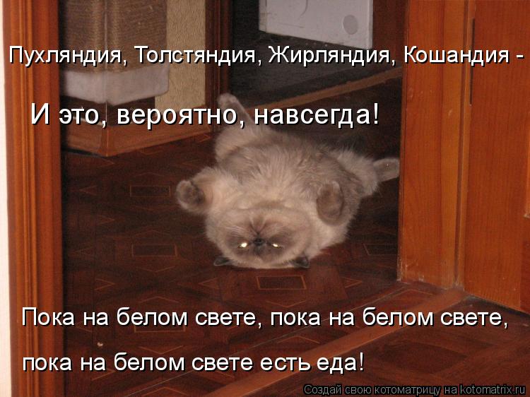 И это, вероятно, навсегда! Пока на белом свете, пока на белом свете, пока на белом свете есть еда! П... Котоматрица: И это, вероятно, навсегда! Пока на белом свете, пока на белом свете, пока на белом свете есть еда! Пухляндия, Толстяндия, Жирляндия, Кошандия -