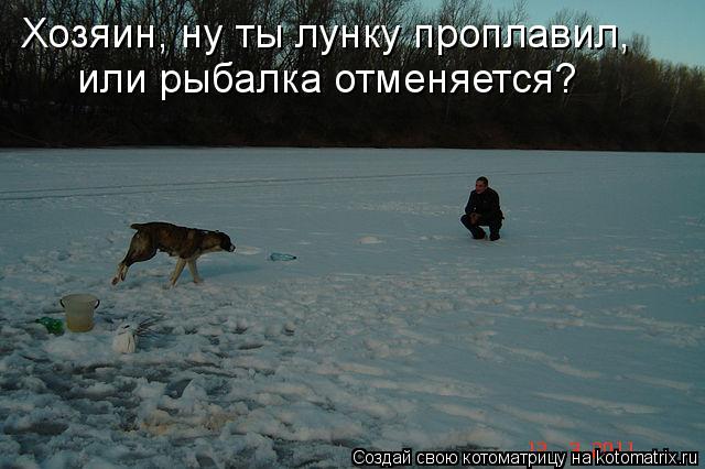 Хозяин, ну ты лунку проплавил, или рыбалка отменяется?... Котоматрица: Хозяин, ну ты лунку проплавил, или рыбалка отменяется?