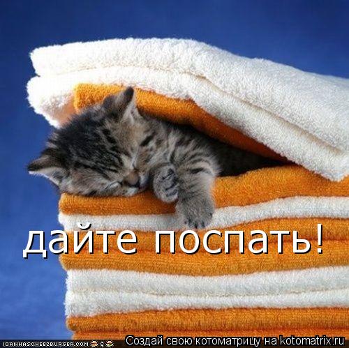 дайте поспать!... Котоматрица: дайте поспать!