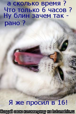а сколько время ? Что только 6 часов ? Ну блин зачем так - рано ? Я же просил в 16!... Котоматрица: а сколько время ? Что только 6 часов ? Ну блин зачем так - рано ? Я же просил в 16!