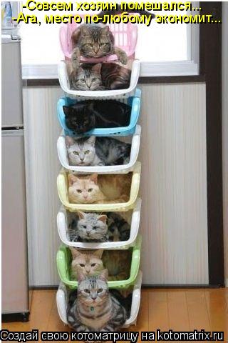 -Совсем хозяин помешался... -Ага, место по-любому экономит...... Котоматрица: -Совсем хозяин помешался... -Ага, место по-любому экономит...
