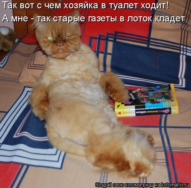 Так вот с чем хозяйка в туалет ходит! А мне - так старые газеты в лоток кладет... Котоматрица: Так вот с чем хозяйка в туалет ходит! А мне - так старые газеты в лоток кладет