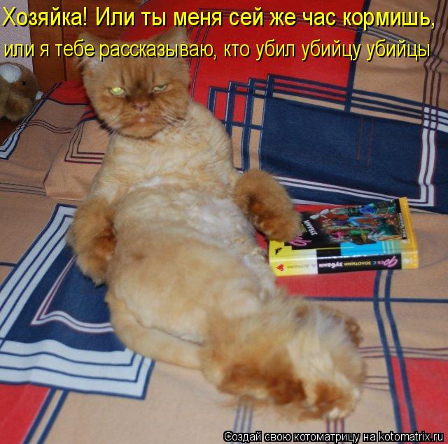 Хозяйка! Или ты меня сей же час кормишь, или я тебе рассказываю, кто убил убийцу убийцы... Котоматрица: Хозяйка! Или ты меня сей же час кормишь, или я тебе рассказываю, кто убил убийцу убийцы
