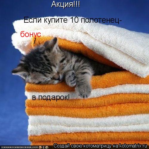 Акция!!! Если купите 10 полотенец- бонус / в подарок!... Котоматрица: Акция!!! Если купите 10 полотенец- бонус / в подарок!